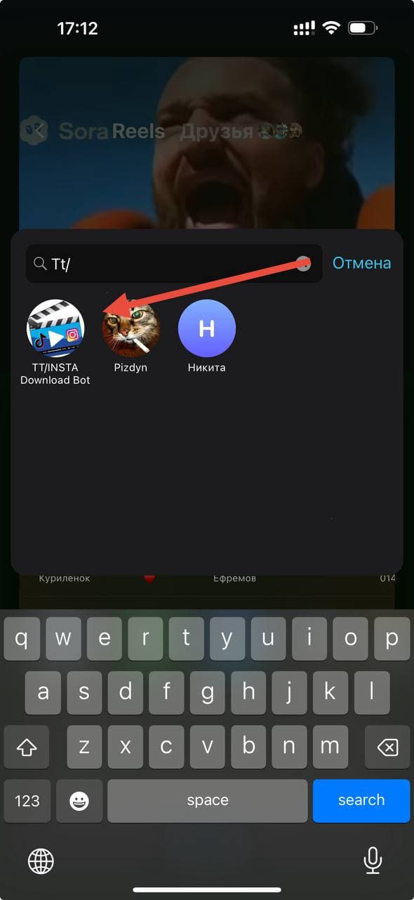 Отправить ссылку Инстаграм боту в Telegram