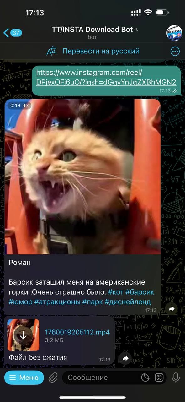 Сохранить видео из Инстаграм в галерею