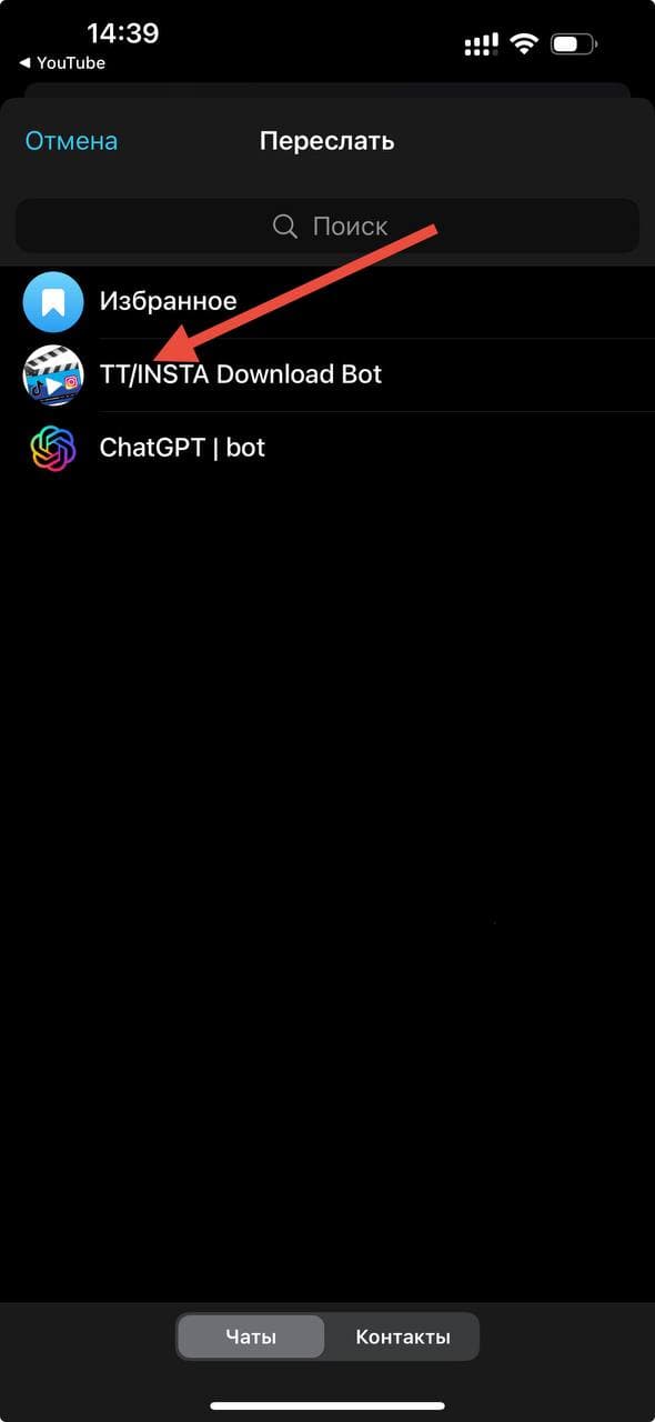 Отправить ссылку YouTube боту в Telegram
